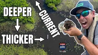 🔥Hot Summer BASS Cheat Code!! Going Ike🎣