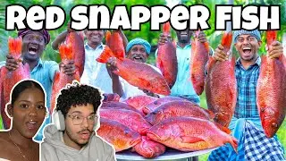 RED SNAPPER FISH | VILLAGE COOKING CHANNEL REACTION!