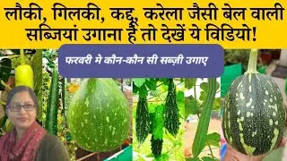 लौकी, कद्दू, तुरई, करेला को फरवरी की शुरुआत मे कैसे उगाए? फरवरी मे बेल बाली कौन सी सब्जिया लगाए?