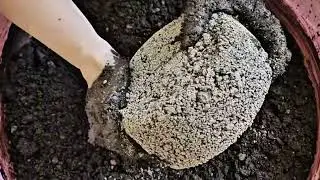 Gritty Charcoal cakes ASMR ❤️ Mesmerizing Crumbling in water 