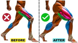 7 Best Leg Exercises to Build Massive Strength & Size | No Gym Needed