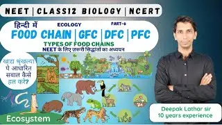 FOOD CHAIN 🌞🪴| Types of Food Chains | GFC ☀️🌱| DFC 🍂🪱 | PFC 🍁🐛| Examples of GFC, DFC & PFC | 
