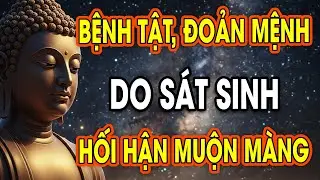 RÙNG MÌNH 5 Quả Báo SÁT SINH - Xem Ngay Để Tránh Họa Vào Thân
