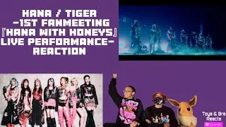 HANA / Tiger -1st FANMEETING『HANA with HONEYs』 Live Performance Reaction 