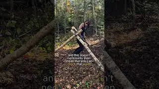 Как же освоить навыки выживания в дикой природе?