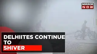 Delhi Shivers Amid Cold Waves | Visibility Dips, Fog Continues | Weather Update | Latest News