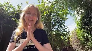 Animal Reiki Meditation: Connecting with Trees
