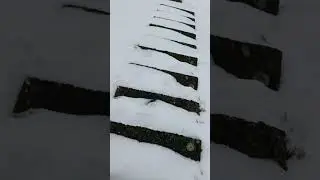 2026.01.17 Gerje-Perje