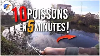 10 POISSONS EN 5 MINUTES !!! INCROYABLE SESSION P&Ecirc;CHE 2021