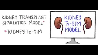 Epitope Compatibility in Deceased Donor Kidney Transplantation: A Simulation Model