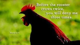 Before the cock crows 2005 sermon_full DVD