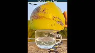 Fruits That India Gifted to the World 😱