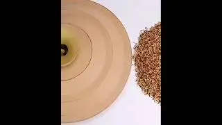 Launching a flying saucer made of cardboard