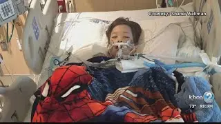 6-year-old boy fights for his life after contracting H1N1 virus