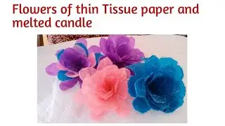 Flowers of👏 thin Tissue  paper 🌸and melted candle💐 description here@ChandraniFriestoWorld8785