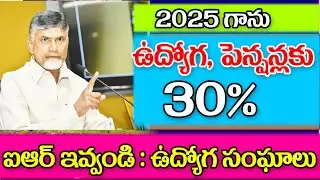 ఉద్యోగ పెన్షనర్లకు 30% అయ్యారు తీర్మానం ap government employees IR 30% latest update.