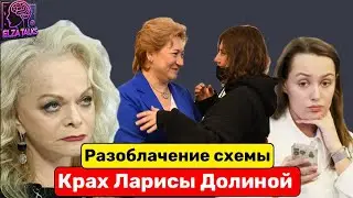 Схема Долиной: как всё было