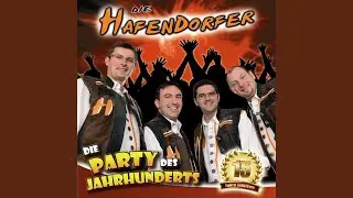 Musizeit (Neuaufnahme 2010)