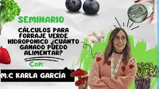 Cálculos para forraje verde hidroponico ¿cuánto ganado puedo alimentar?