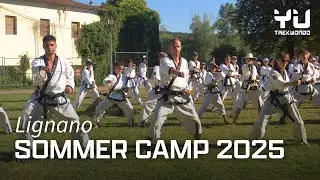 Warum dieses Taekwondo Camp die Community für immer verändert hat 💥