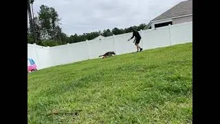 Solo restrained recall practice
