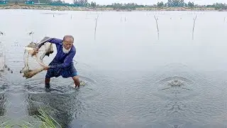Amazing Casting Big Net Fishing - New Fishing Video 2026 - Best Net Fishing Video