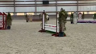 Swan lake horse show