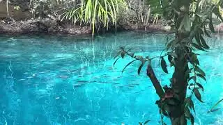 Enchanted River KSQ #river #enchantedriver #hinatuan 