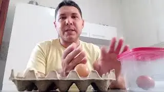 ASSIM OVOS F&Eacute;RTEIS N&Atilde;O ESTRAGA (SEGREDO REVELADO)