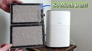 How to Use the Levoit Air Purifier for Home and Bedroom
