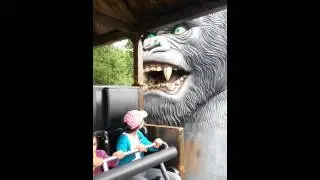 Angry KingKong @Bobbejaanland