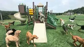 The Playground is Open at Dee-O-Gee Care! Let the Fun Begin!