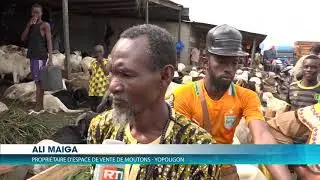 Tabaski : Quand le mouton se rapproche des consommateurs