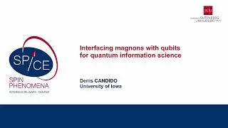 Talks - Quantum Functionalities of Nanomagnets 2025 - Denis CANDIDO, University of Iowa