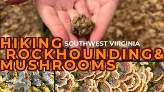 Hiking, Rockhounding & Geode Cutting in Southwest Virginia! (Plus So Many Mushrooms!)