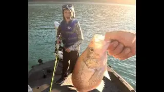 Western WA Crappie fishing.