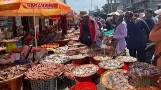 Amazing Dry Fish & Alive Fish Selling In Fish Market - Best Dry Fish, Buffalo Selling On The Street