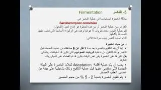 انتاج النبيذ