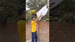 Biggest Money Kite Patang Catch With Tree New Trick & Flying Gudda In Sky #2