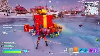 Fortnite 8 kILL vICTORY!