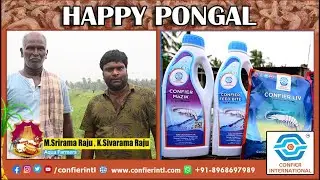 Success Story 2 I Confier International I Quality Aqua Feed Supplements I Happy Pongal 2023