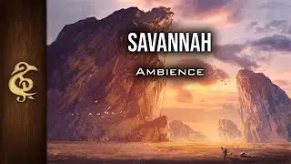 Savannah | Nature Ambience | 1 Hour