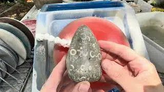Polishing Crinoid Fossil From Lake Michigan