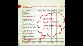 choix d'investisssement : flux financier + LES CRITERES DE RENTABILITE