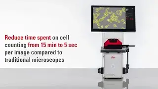Automated cell counting with the Mateo FL Digital Fluorescence Microscope