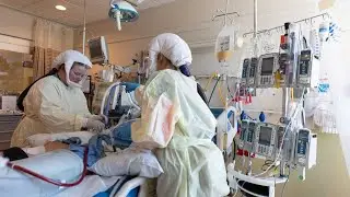 Utah researchers say antibody treatment effective against COVID-19