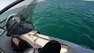 BOAT FISHING AT ABU DHABI, UNITED ARAB EMIRATES