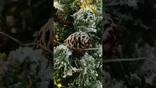 Small Space, Big Christmas Feels | Cozy Holiday Decor 2025