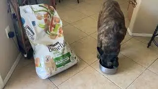 Purina Beneful Healthy Weight Dry Dog Food, Essential Vitamins and Healthful Ingredients