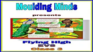 Flying High||EVS CLASS - 3|| Worksheet for chapter Flying High